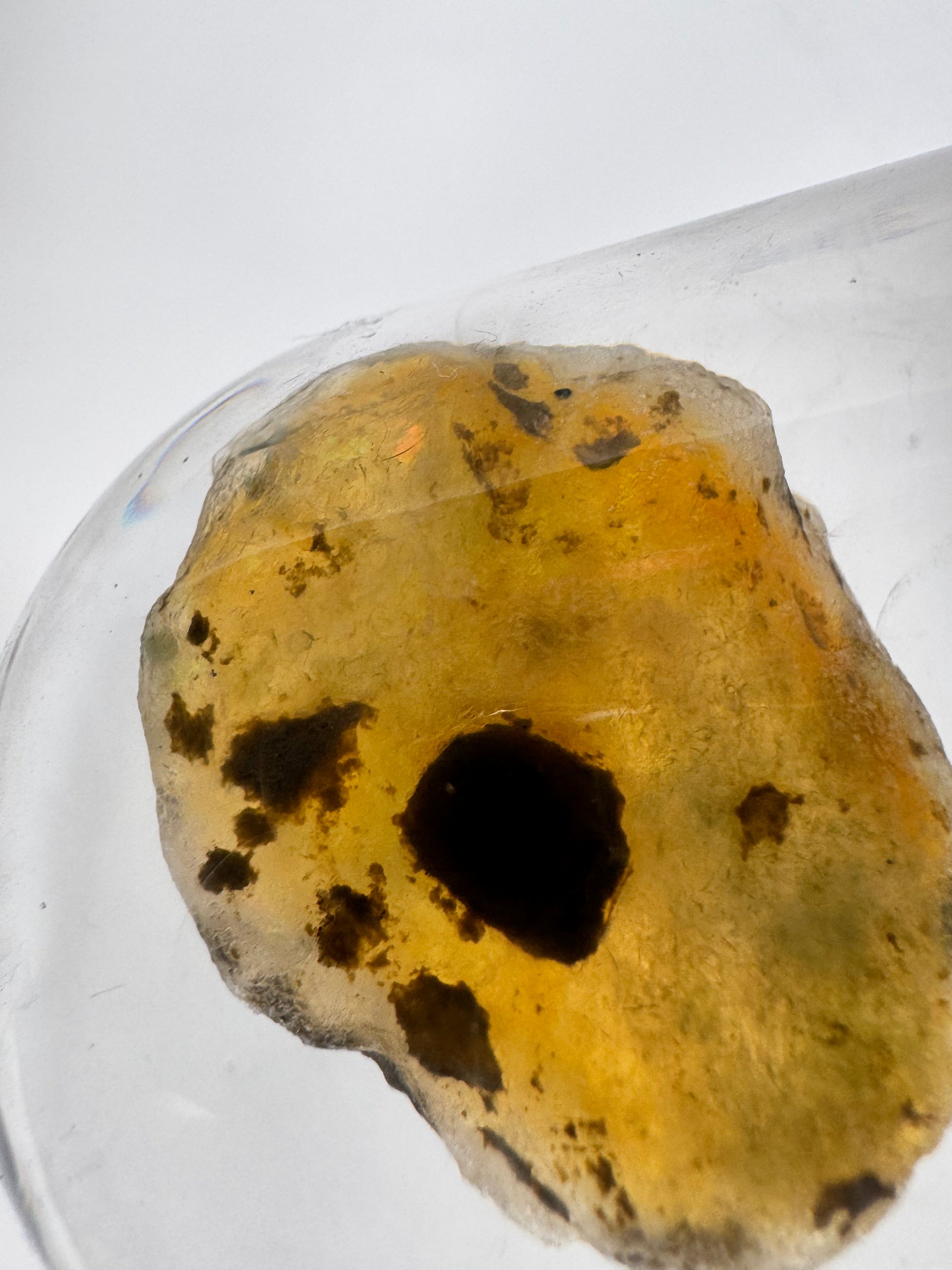 Close-up of Welo Ethiopian Water Opal from Crystals NZ, highlighting its amber hue, dark inclusions, and internal fire within a clear casing.