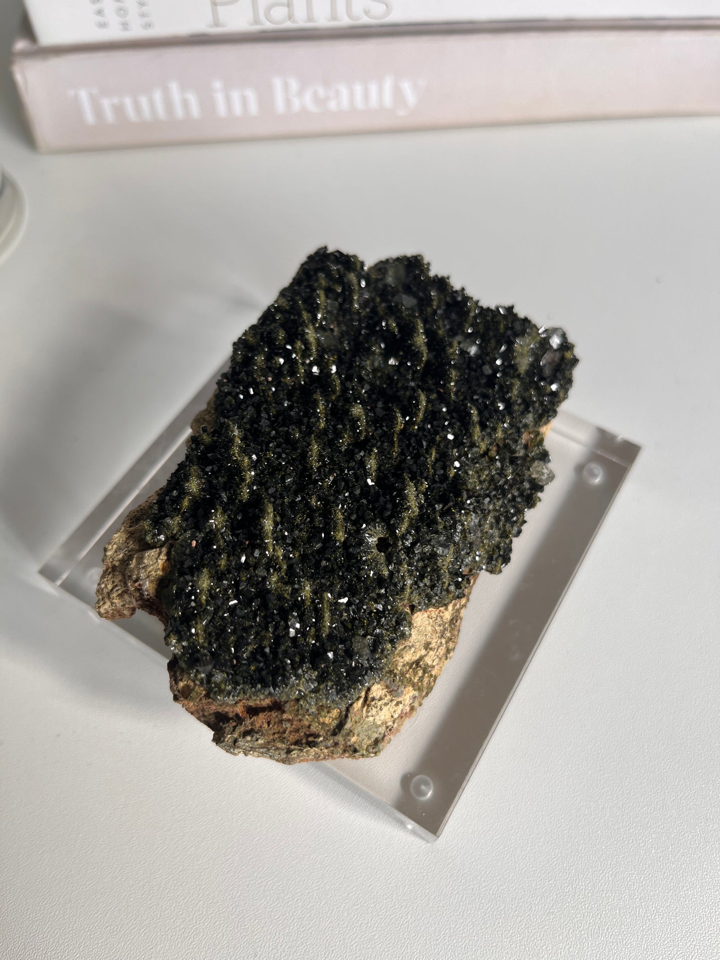 Forest Epidote with Quartz