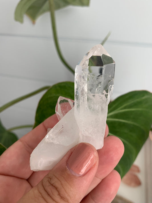 Brazilian Quartz Cluster #2