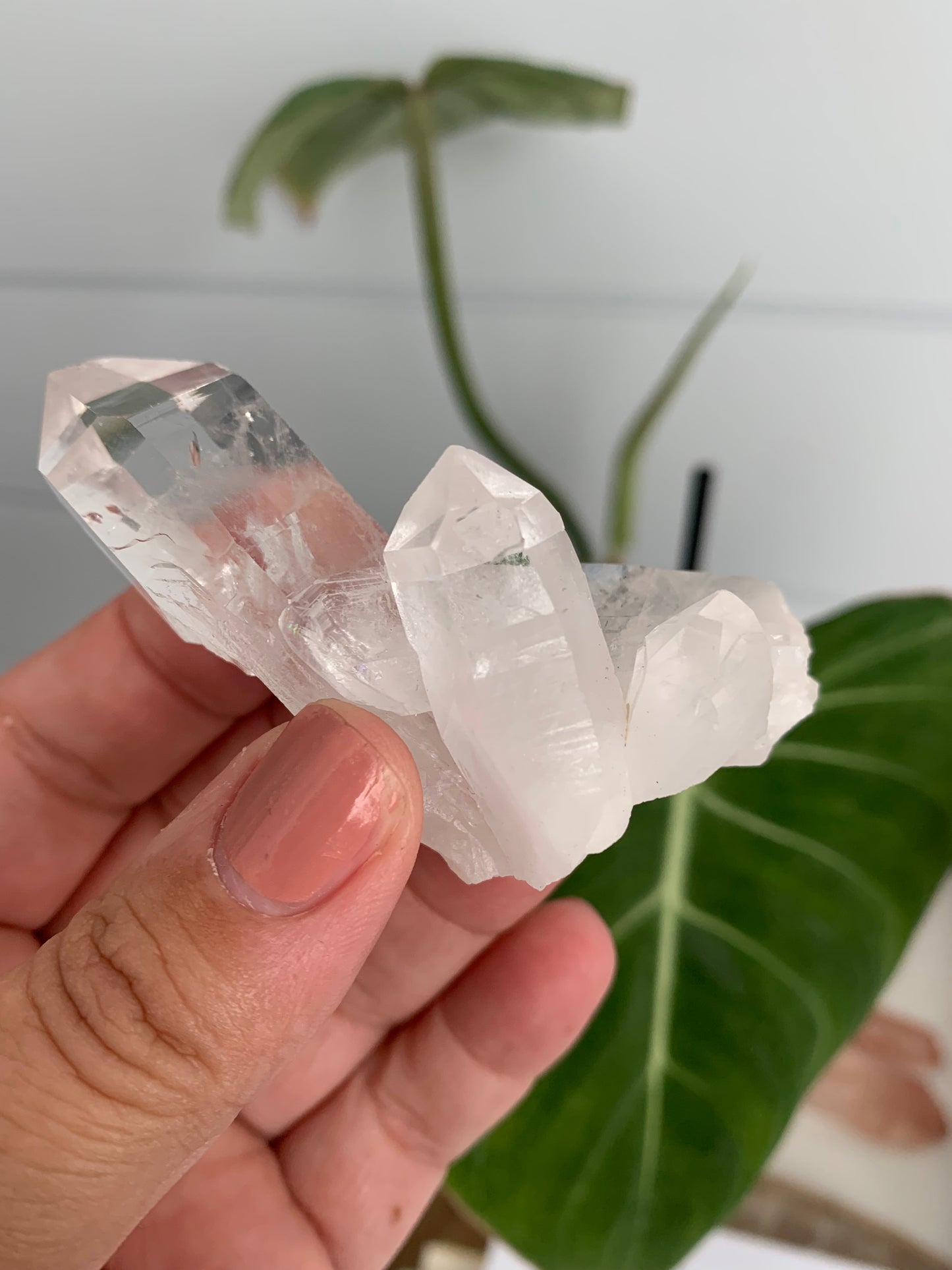 Brazilian Quartz Cluster #2