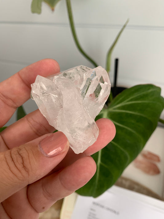 Brazilian Quartz Cluster #3