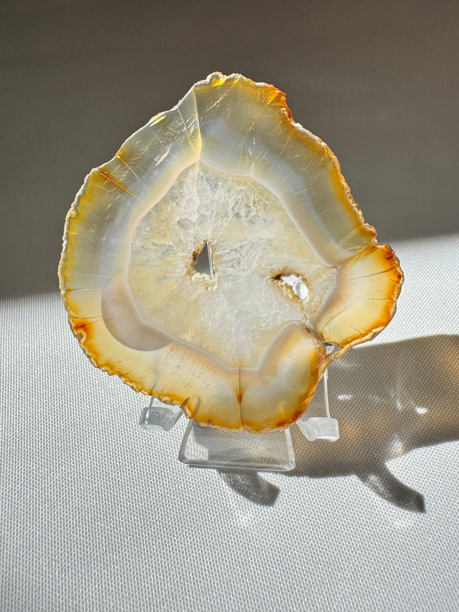 Iris Agate Slice #2 with rainbow bands on display | Buy crystals nz