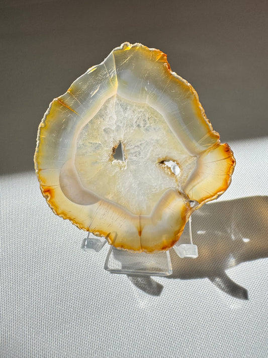 Iris Agate Slice #2 with rainbow bands on display | Buy crystals nz