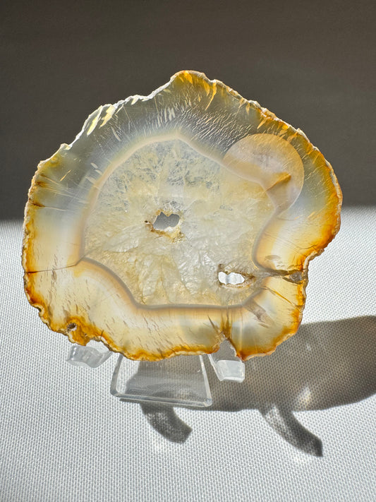 Iris Agate Slice from Indonesia