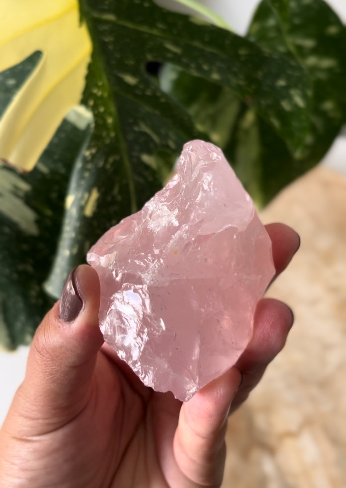 Rose Quartz Raw Pieces