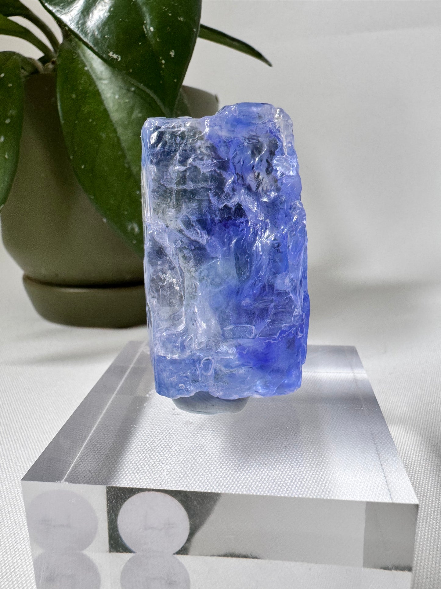 Rare Blue Halite Crystal NZ