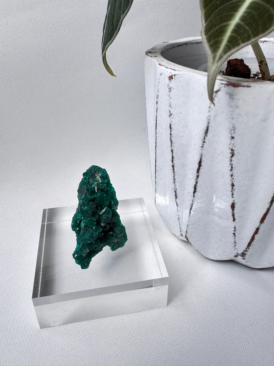 Dioptase Specimen