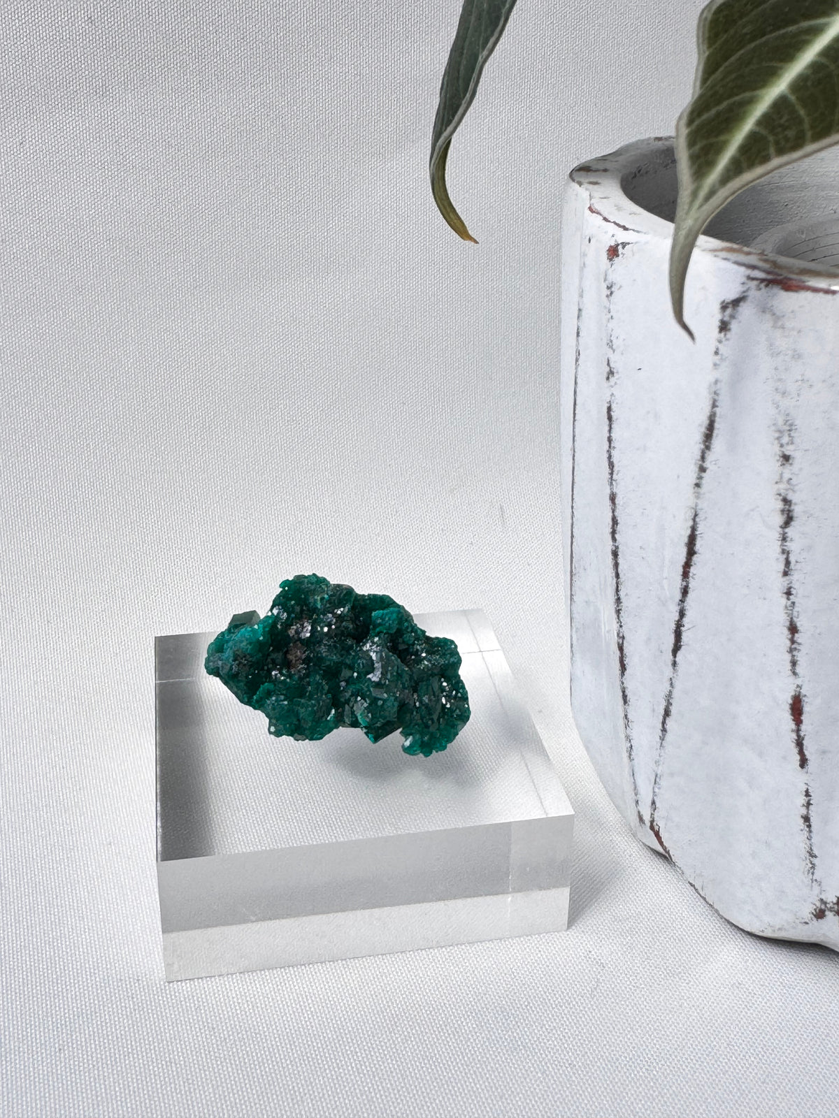Dioptase Specimen