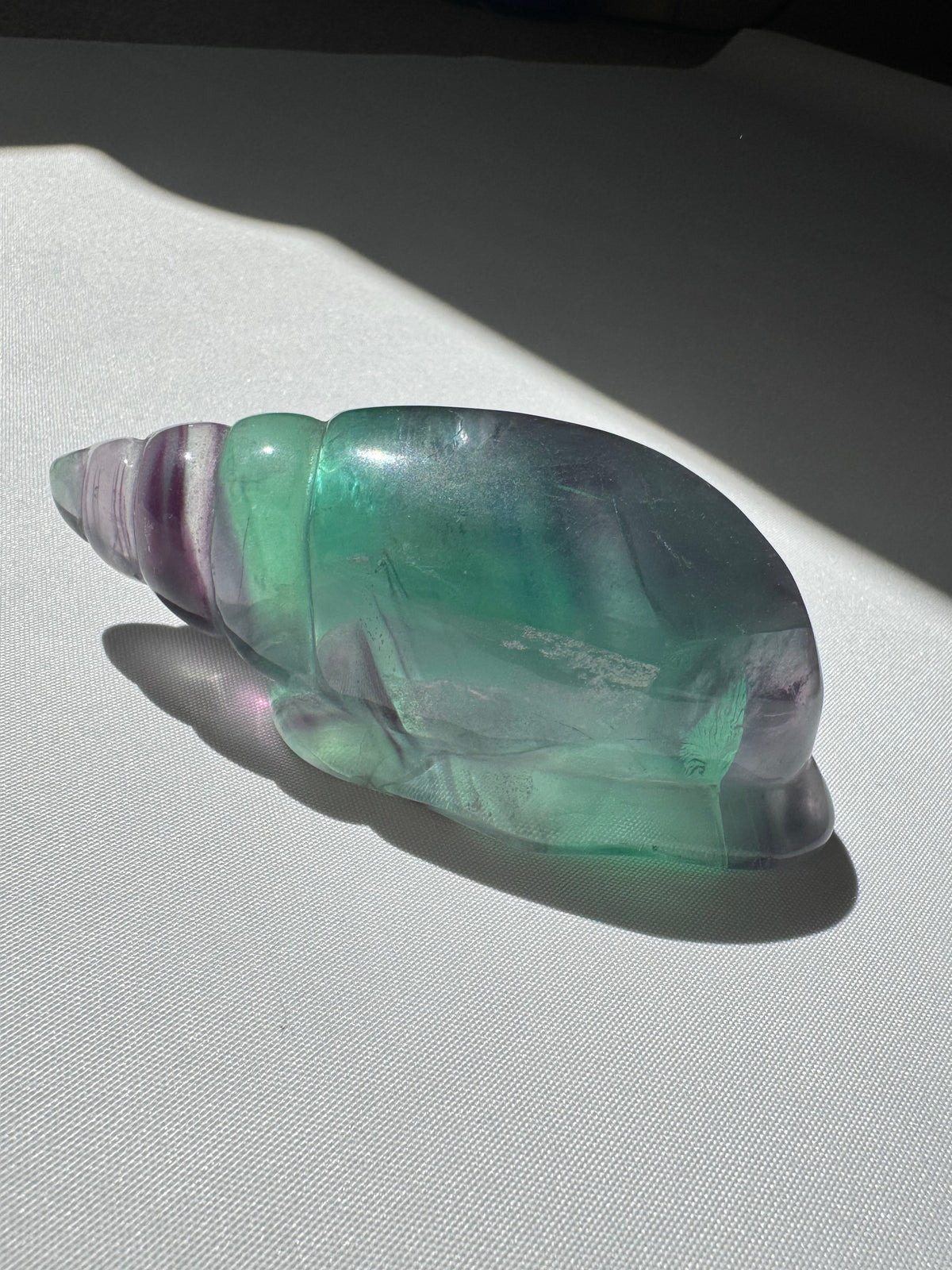 Rainbow Fluorite Seashell #B