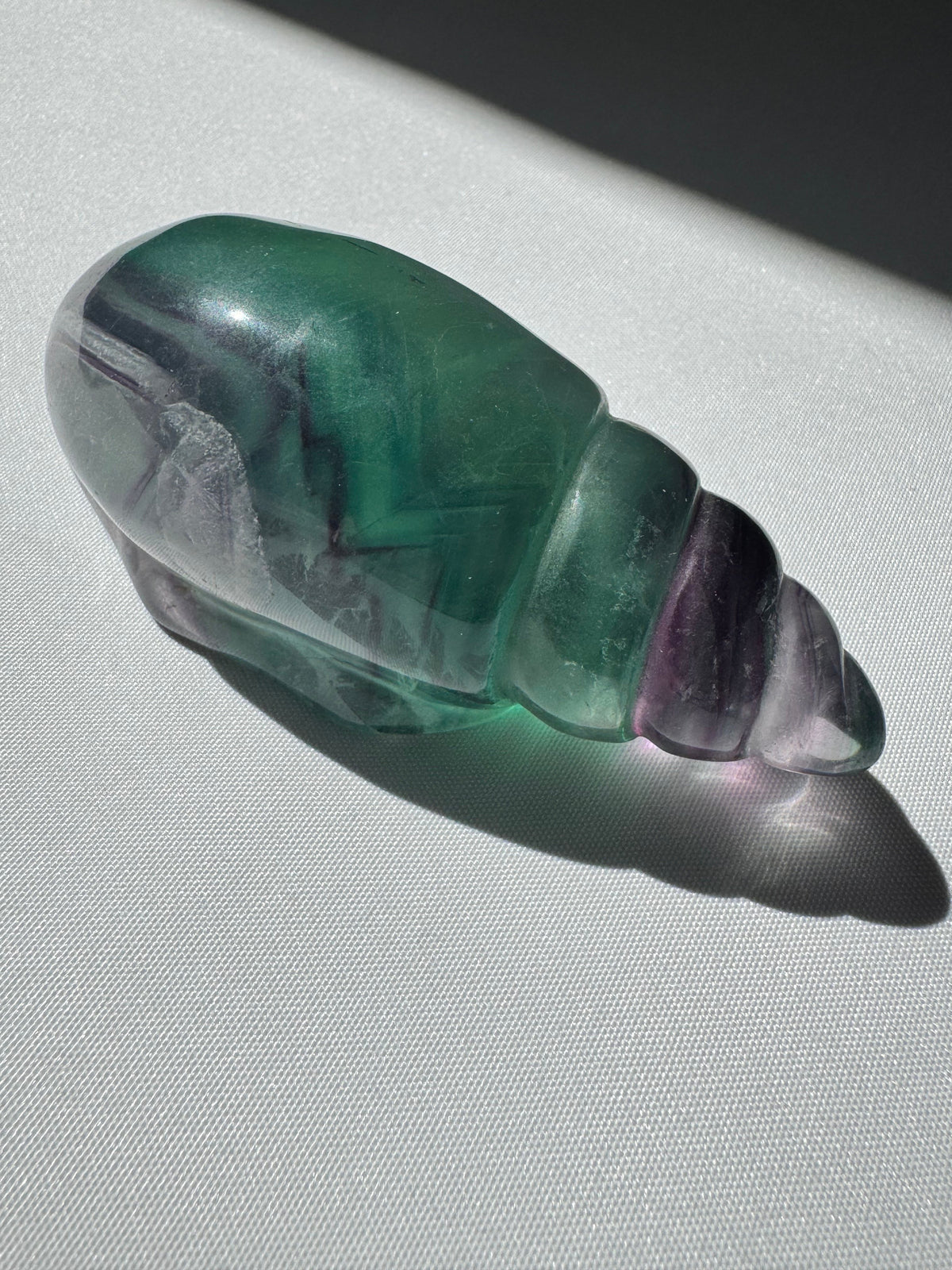 Rainbow Fluorite Seashell #B