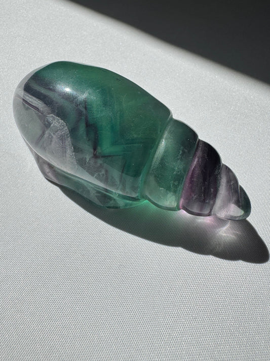 Rainbow Fluorite Seashell #B