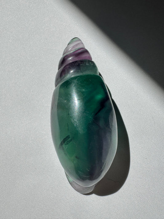 Rainbow Fluorite Seashell #A