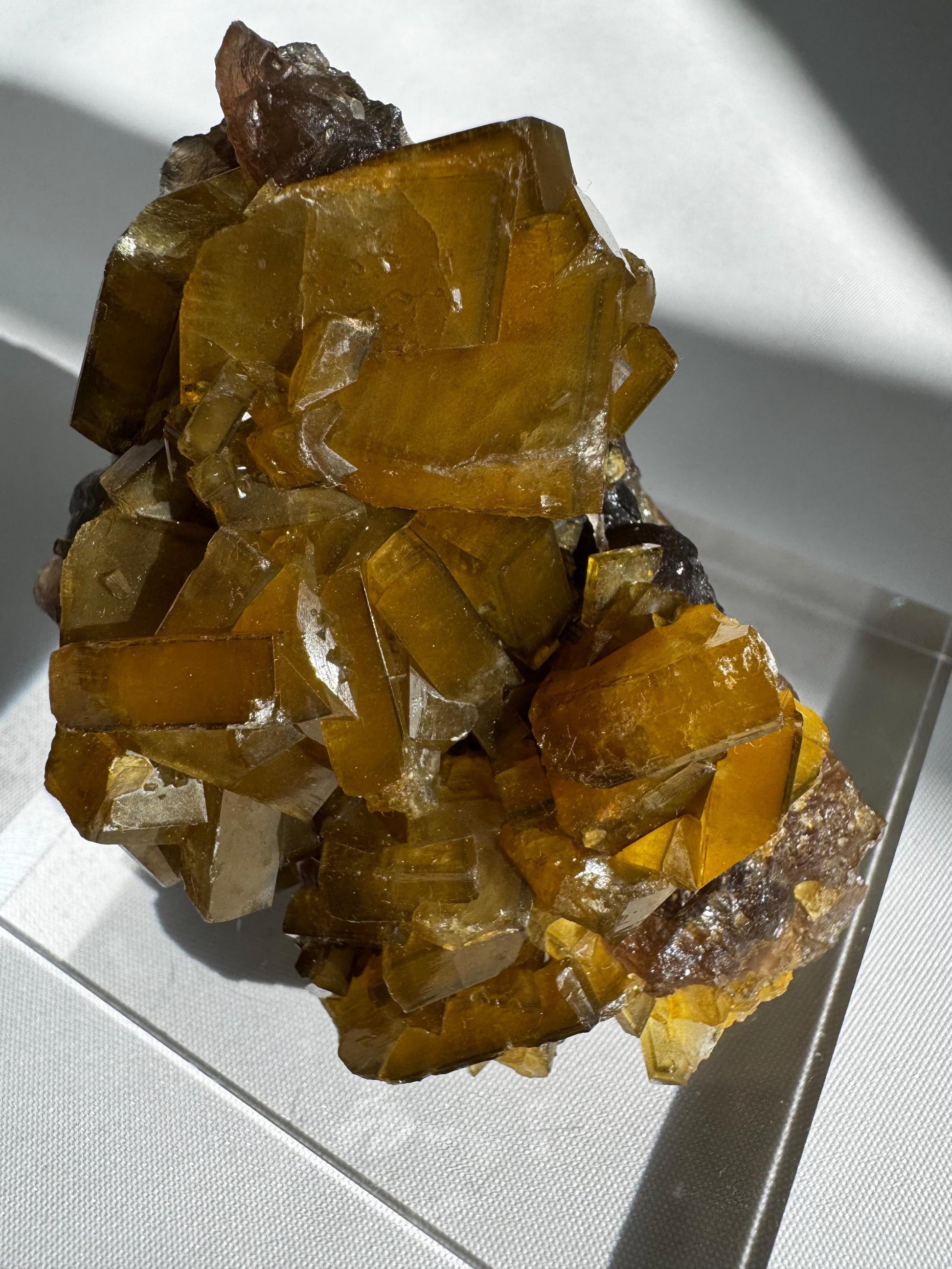 Golden Barite Crystal on Boytroidal Purple Fluorite specimen featuring lustrous golden blades atop deep purple fluorite matrix, ideal for collectors.