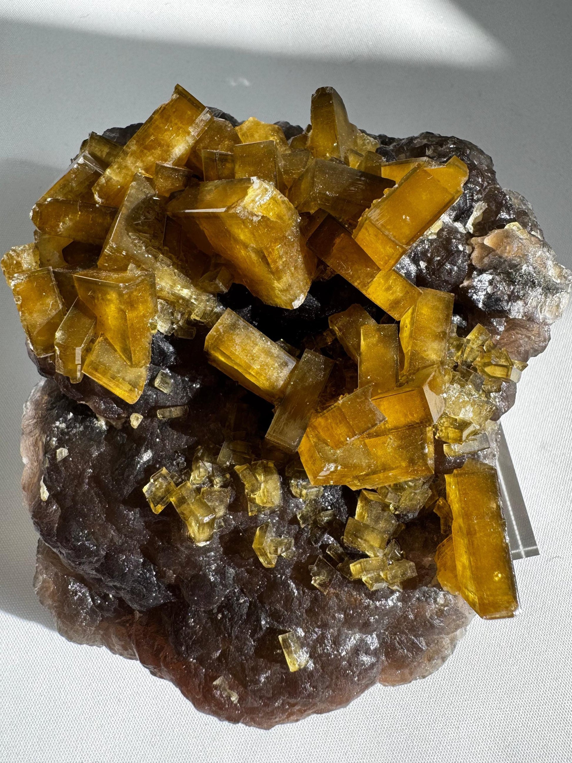 Golden Barite Crystal on Boytroidal Purple Fluorite specimen featuring radiant golden barite blades atop deep purple fluorite matrix. Ideal for Crystal collectors.