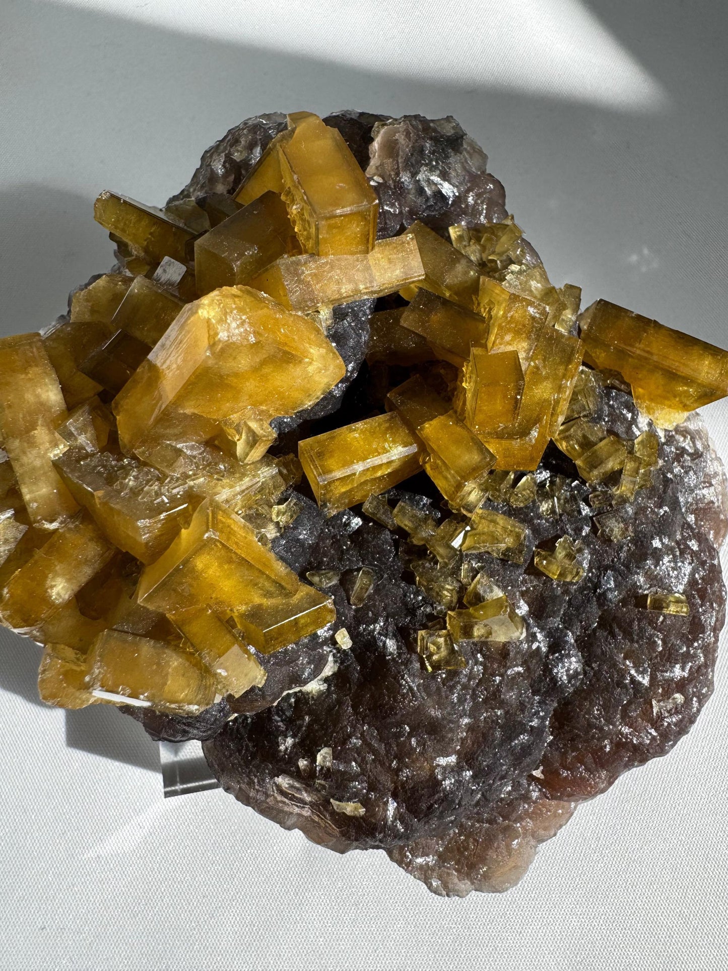 Golden Barite Crystal on Boytroidal Purple Fluorite specimen featuring radiant golden barite blades atop deep purple fluorite matrix. A rare collectible from Ruijin, China.