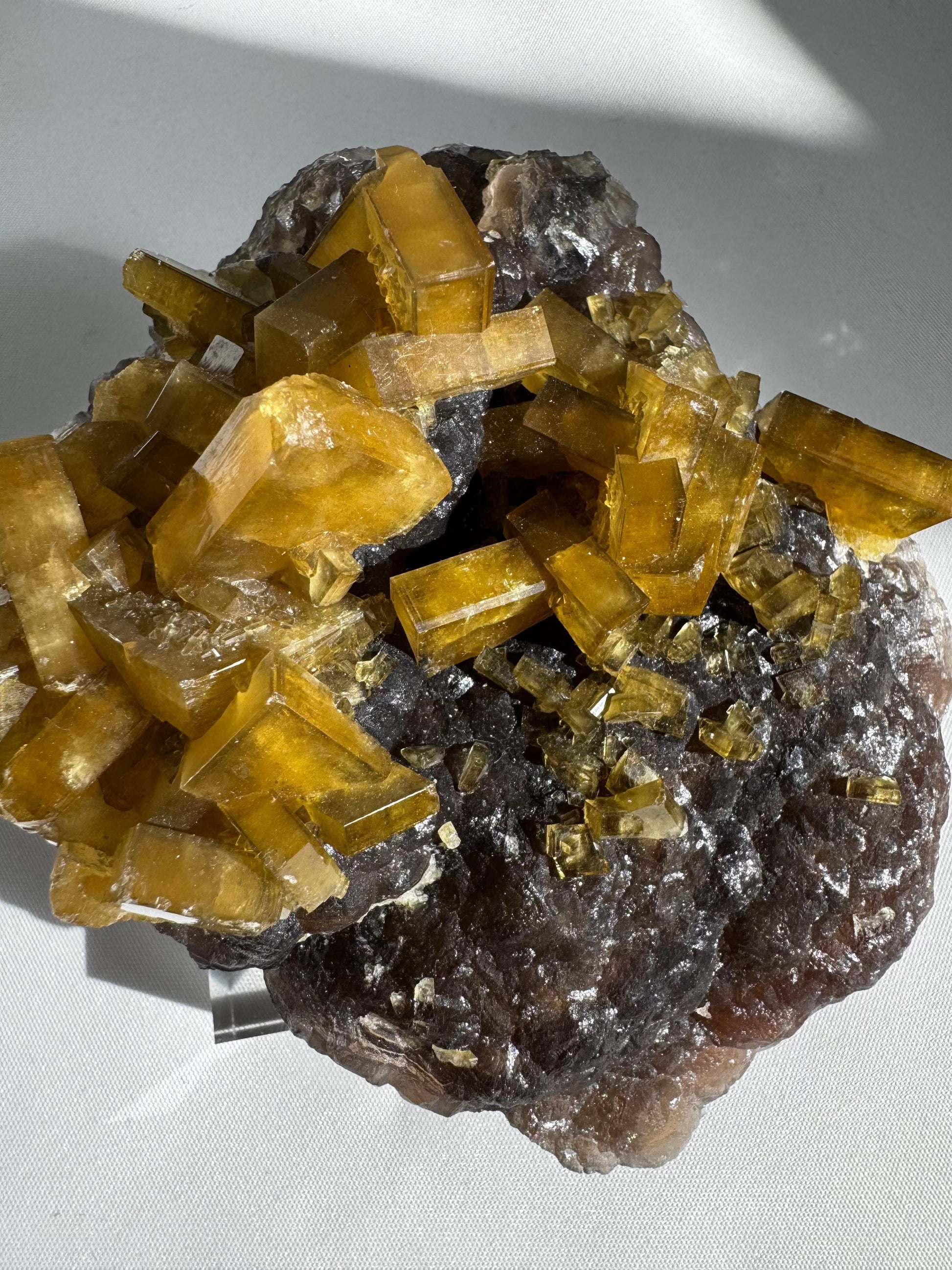 Golden Barite Crystal on Boytroidal Purple Fluorite specimen featuring radiant golden barite blades atop deep purple fluorite matrix. A rare collectible from Ruijin, China.