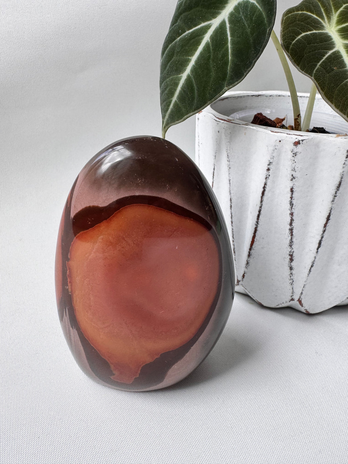 Polychrome Jasper Freeform