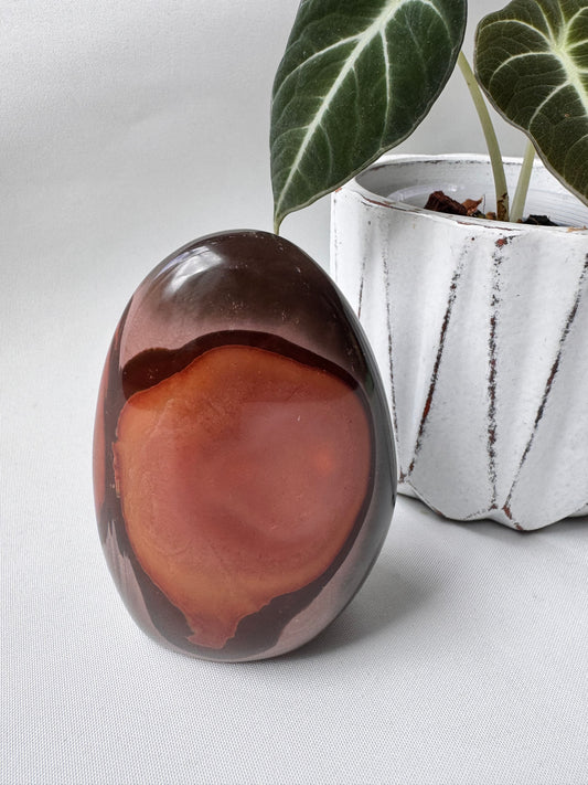Polychrome Jasper Freeform